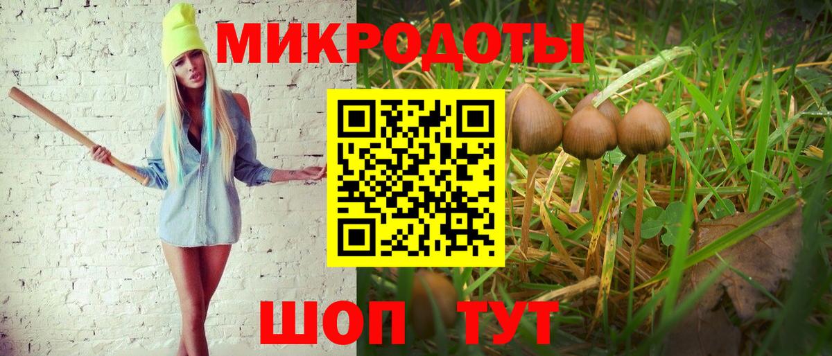 Острогожск  Галлюциногенные грибы мицелий  Вход с VPN 